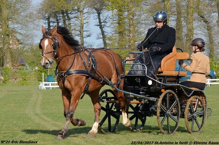 2017-04-23 CCA Saint Antoine la Forêt - Clubs et SHF, 21-DSC_4981