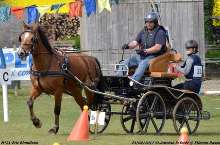 2017-04-23 CCA Saint Antoine la Forêt - Clubs et SHF, 21-DSC_5455