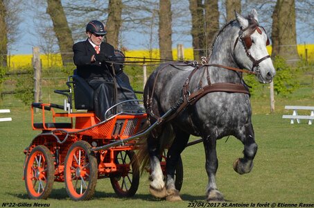 2017-04-23 CCA Saint Antoine la Forêt - Clubs et SHF, 22-DSC_4999