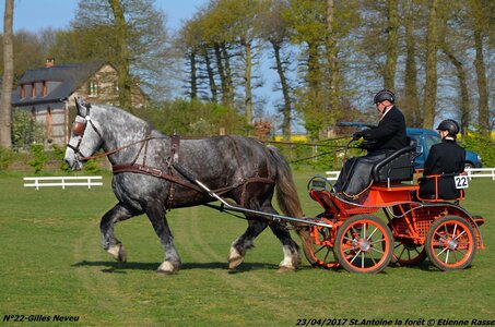 2017-04-23 CCA Saint Antoine la Forêt - Clubs et SHF, 22-DSC_5000