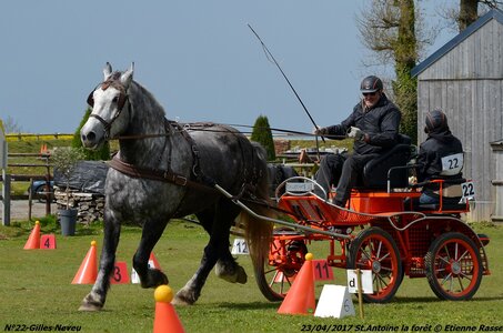 2017-04-23 CCA Saint Antoine la Forêt - Clubs et SHF, 22-DSC_5529