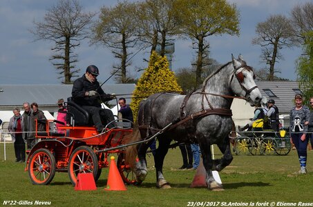 2017-04-23 CCA Saint Antoine la Forêt - Clubs et SHF, 22-DSC_5533