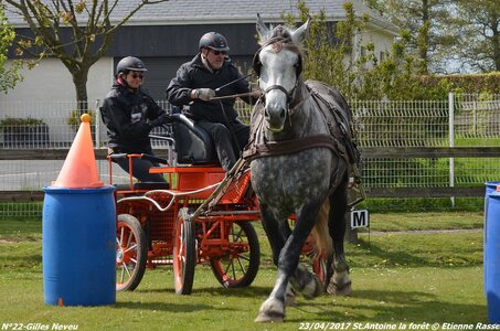 2017-04-23 CCA Saint Antoine la Forêt - Clubs et SHF, 22-DSC_5537