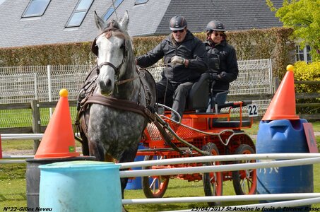 2017-04-23 CCA Saint Antoine la Forêt - Clubs et SHF, 22-DSC_5542