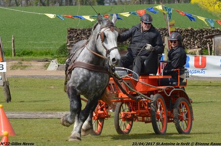 2017-04-23 CCA Saint Antoine la Forêt - Clubs et SHF, 22-DSC_5554