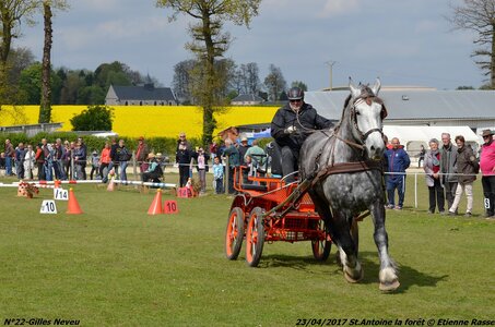 2017-04-23 CCA Saint Antoine la Forêt - Clubs et SHF, 22-DSC_5555