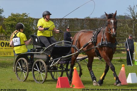 2017-04-23 CCA Saint Antoine la Forêt - Clubs et SHF, 24-DSC_5390