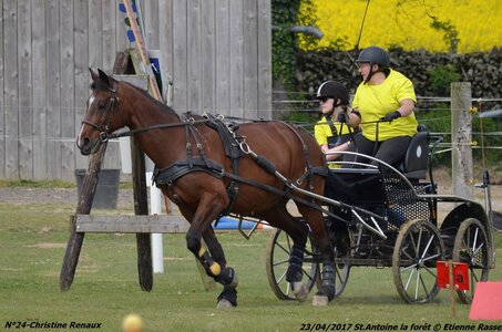 2017-04-23 CCA Saint Antoine la Forêt - Clubs et SHF, 24-DSC_5393