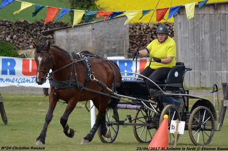 2017-04-23 CCA Saint Antoine la Forêt - Clubs et SHF, 24-DSC_5396