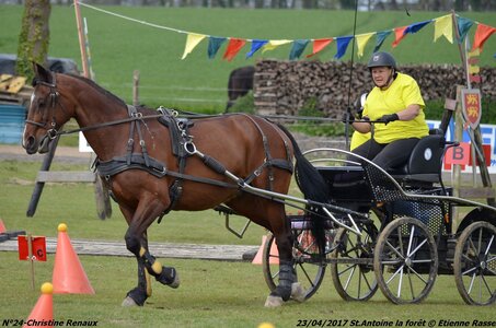 2017-04-23 CCA Saint Antoine la Forêt - Clubs et SHF, 24-DSC_5397
