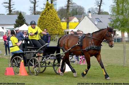 2017-04-23 CCA Saint Antoine la Forêt - Clubs et SHF, 24-DSC_5399