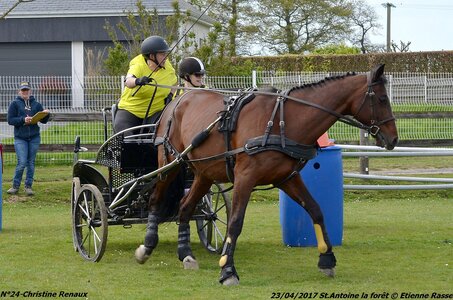 2017-04-23 CCA Saint Antoine la Forêt - Clubs et SHF, 24-DSC_5403
