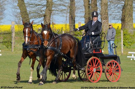 2017-04-23 CCA Saint Antoine la Forêt - Clubs et SHF, 25-DSC_5025