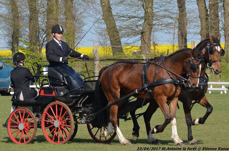 2017-04-23 CCA Saint Antoine la Forêt - Clubs et SHF, 25-DSC_5026
