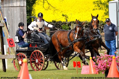 2017-04-23 CCA Saint Antoine la Forêt - Clubs et SHF, 25-DSC_5734