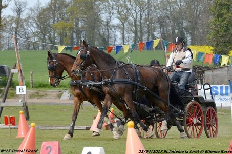 2017-04-23 CCA Saint Antoine la Forêt - Clubs et SHF, 25-DSC_5746