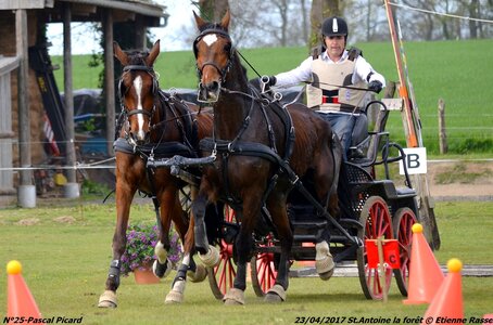2017-04-23 CCA Saint Antoine la Forêt - Clubs et SHF, 25-DSC_5771