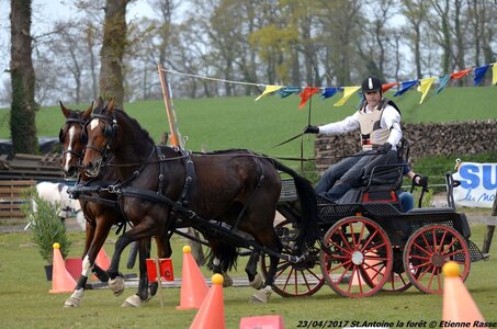 2017-04-23 CCA Saint Antoine la Forêt - Clubs et SHF, 25-DSC_5773