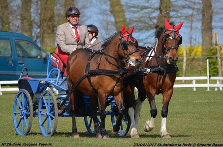2017-04-23 CCA Saint Antoine la Forêt - Clubs et SHF, 26-DSC_5073