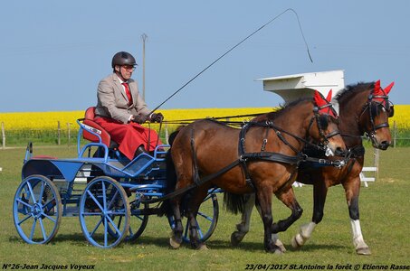 2017-04-23 CCA Saint Antoine la Forêt - Clubs et SHF, 26-DSC_5075