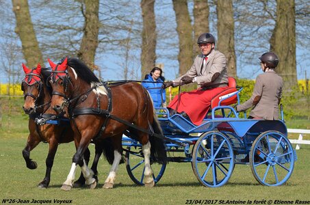 2017-04-23 CCA Saint Antoine la Forêt - Clubs et SHF, 26-DSC_5077