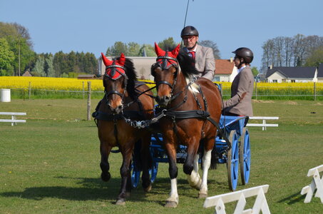 2017-04-23 CCA Saint Antoine la Forêt - Clubs et SHF, 26-DSC_5079