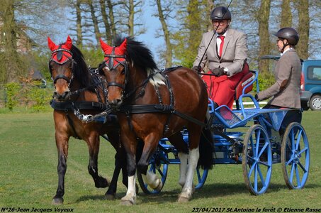 2017-04-23 CCA Saint Antoine la Forêt - Clubs et SHF, 26-DSC_5080