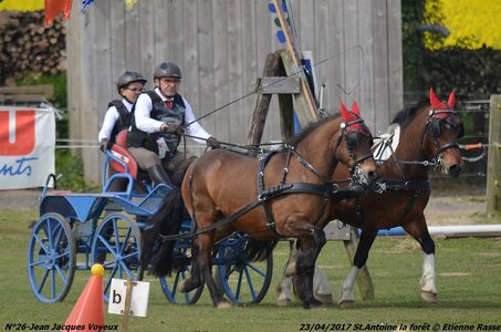 2017-04-23 CCA Saint Antoine la Forêt - Clubs et SHF, 26-DSC_5867