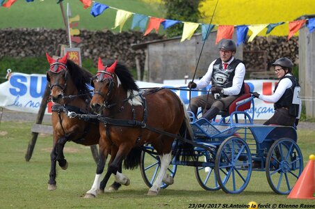 2017-04-23 CCA Saint Antoine la Forêt - Clubs et SHF, 26-DSC_5873_Copier