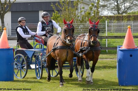 2017-04-23 CCA Saint Antoine la Forêt - Clubs et SHF, 26-DSC_5890