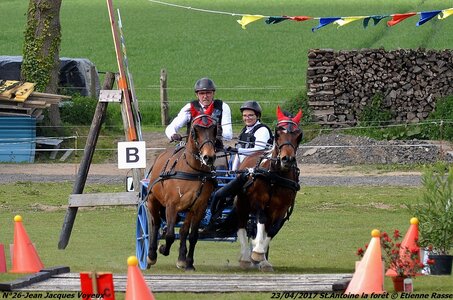2017-04-23 CCA Saint Antoine la Forêt - Clubs et SHF, 26-DSC_5894