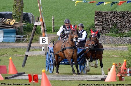 2017-04-23 CCA Saint Antoine la Forêt - Clubs et SHF, 26-DSC_5895