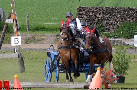 2017-04-23 CCA Saint Antoine la Forêt - Clubs et SHF, 26-DSC_5899