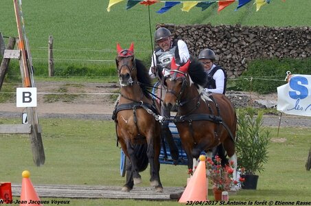 2017-04-23 CCA Saint Antoine la Forêt - Clubs et SHF, 26-DSC_5901