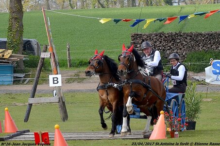 2017-04-23 CCA Saint Antoine la Forêt - Clubs et SHF, 26-DSC_5903