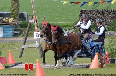 2017-04-23 CCA Saint Antoine la Forêt - Clubs et SHF, 26-DSC_5905