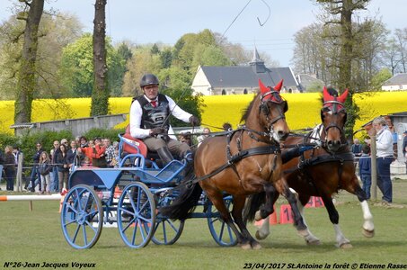 2017-04-23 CCA Saint Antoine la Forêt - Clubs et SHF, 26-DSC_5912