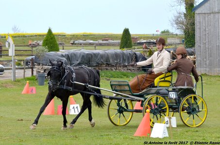 2017-04-23 CCA Saint Antoine la Forêt - Clubs et SHF, 27-DSC_5279