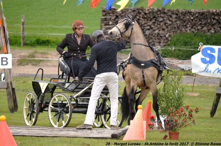 2017-04-23 CCA Saint Antoine la Forêt - Clubs et SHF, 28-DSC_5266