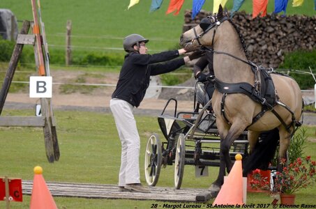 2017-04-23 CCA Saint Antoine la Forêt - Clubs et SHF, 28-DSC_5267