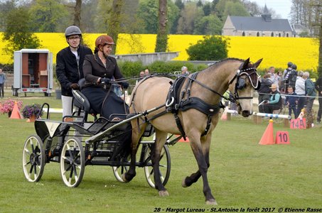 2017-04-23 CCA Saint Antoine la Forêt - Clubs et SHF, 28-DSC_5270_1