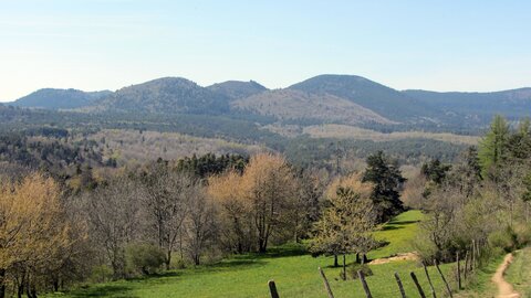 Chaine des Puys, IMG_1611