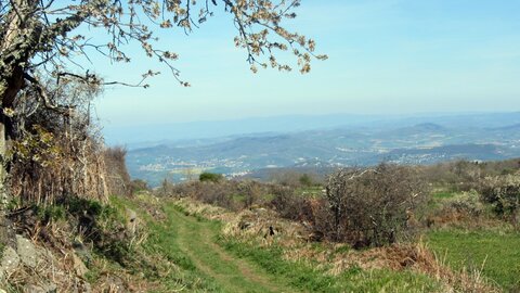 Chaine des Puys, IMG_1614