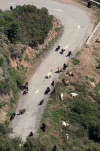 Corse Avril 2017, IMG_3431