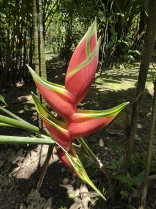 COSTA RICA - ROTATION 1, P1000834