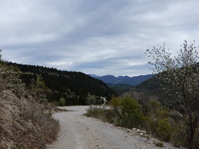 Randonnée du 30/04/2017 à la crête de l'ane, DSCN0759
