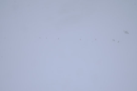 2017-04-27-05-01-ski-tour-grand-paradis, alpes-aventure-ski-grand-paradis-grand-etret-2017-05-01-06