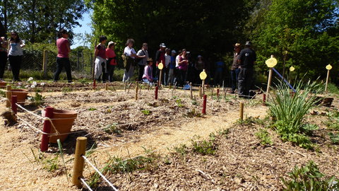 Formation Bourguignon, SAM_0387