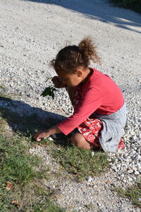 03 - Octobre 2016, DSC_0337