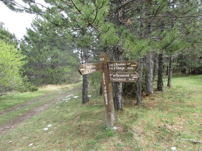 Randonnée du 03/05/2017 aux 4 Bouines, bouinzs 3